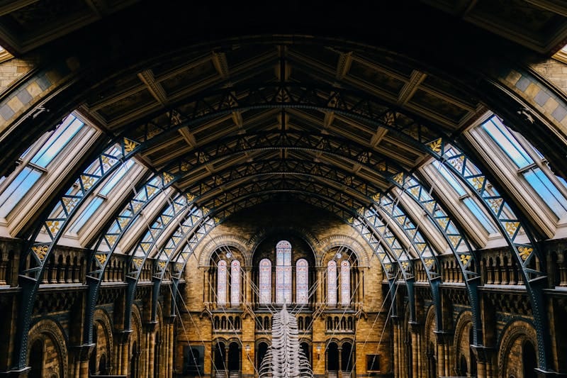 Interiorul Muzeului de Istorie Naturală din Londra