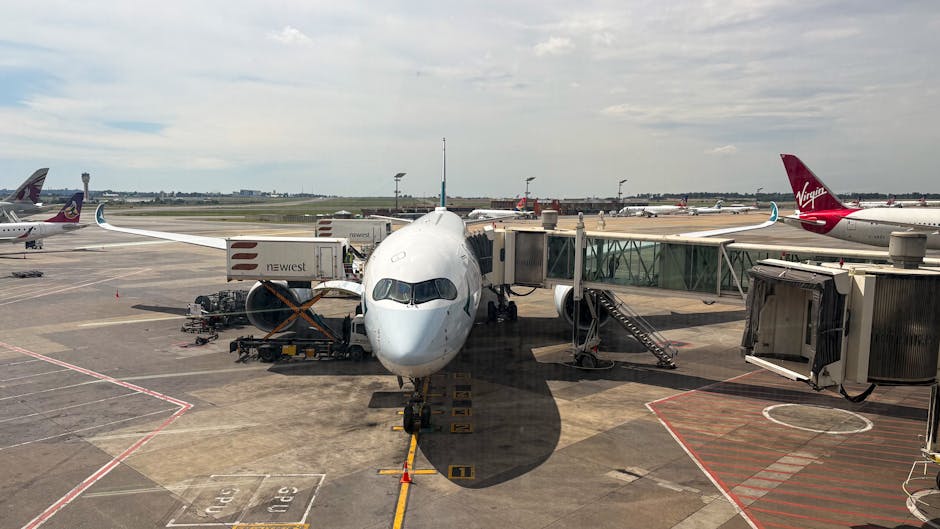 eta uk la aeroport - ilustratie 5