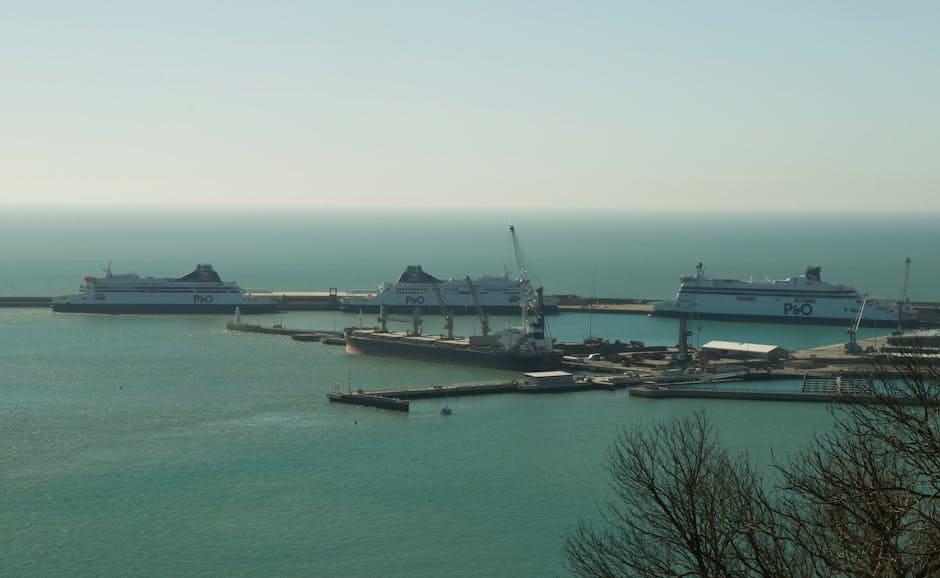 Intrare UK cu mașina Eurotunnel feribot - imagine 3